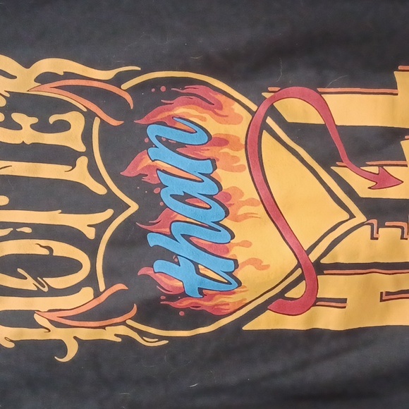 Assholes Live Forever, "Hotter Than Hell" Large Graphic Hoodie Sweatshirt NNT - Picture 2 of 4